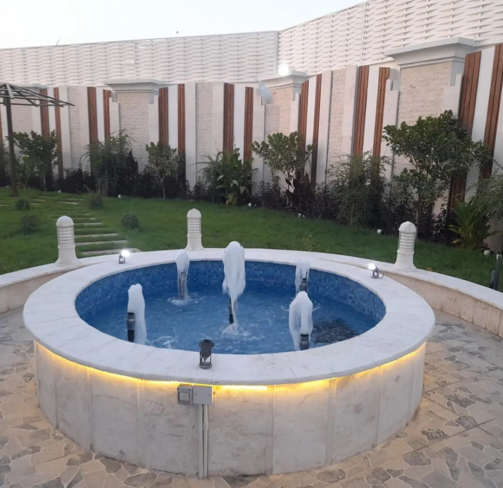 زراعه النخيل - 13