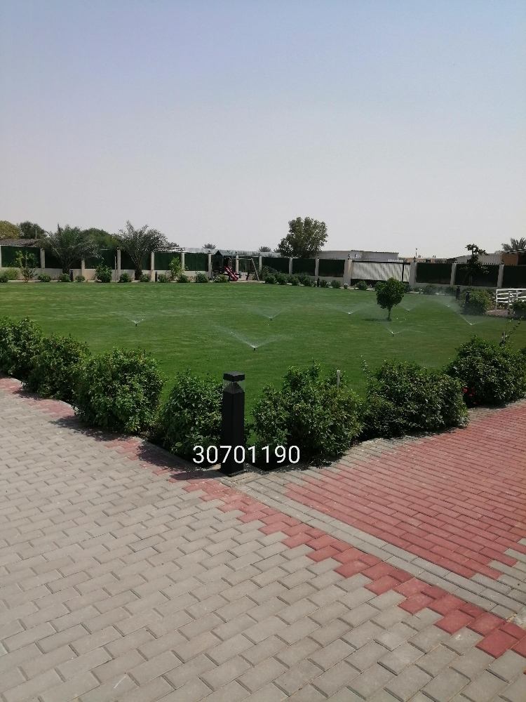 مزارع متميز وخبرة طويلة - 6