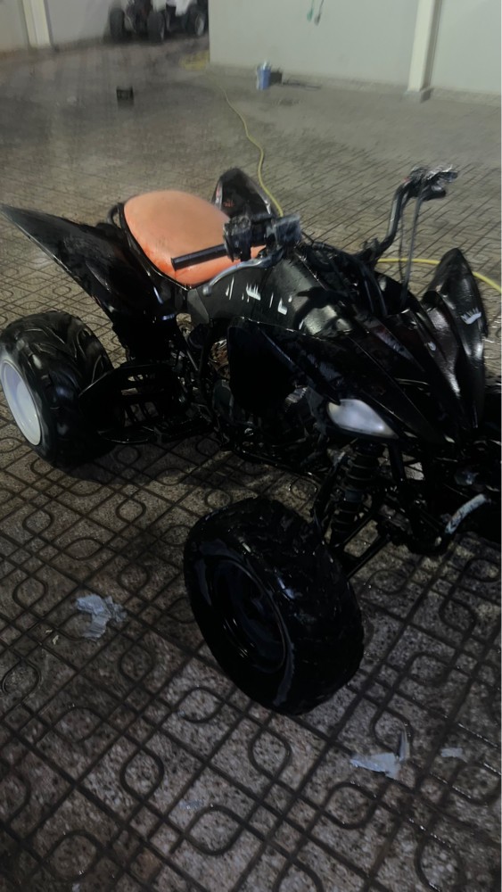 Raptor 250 cc - 6