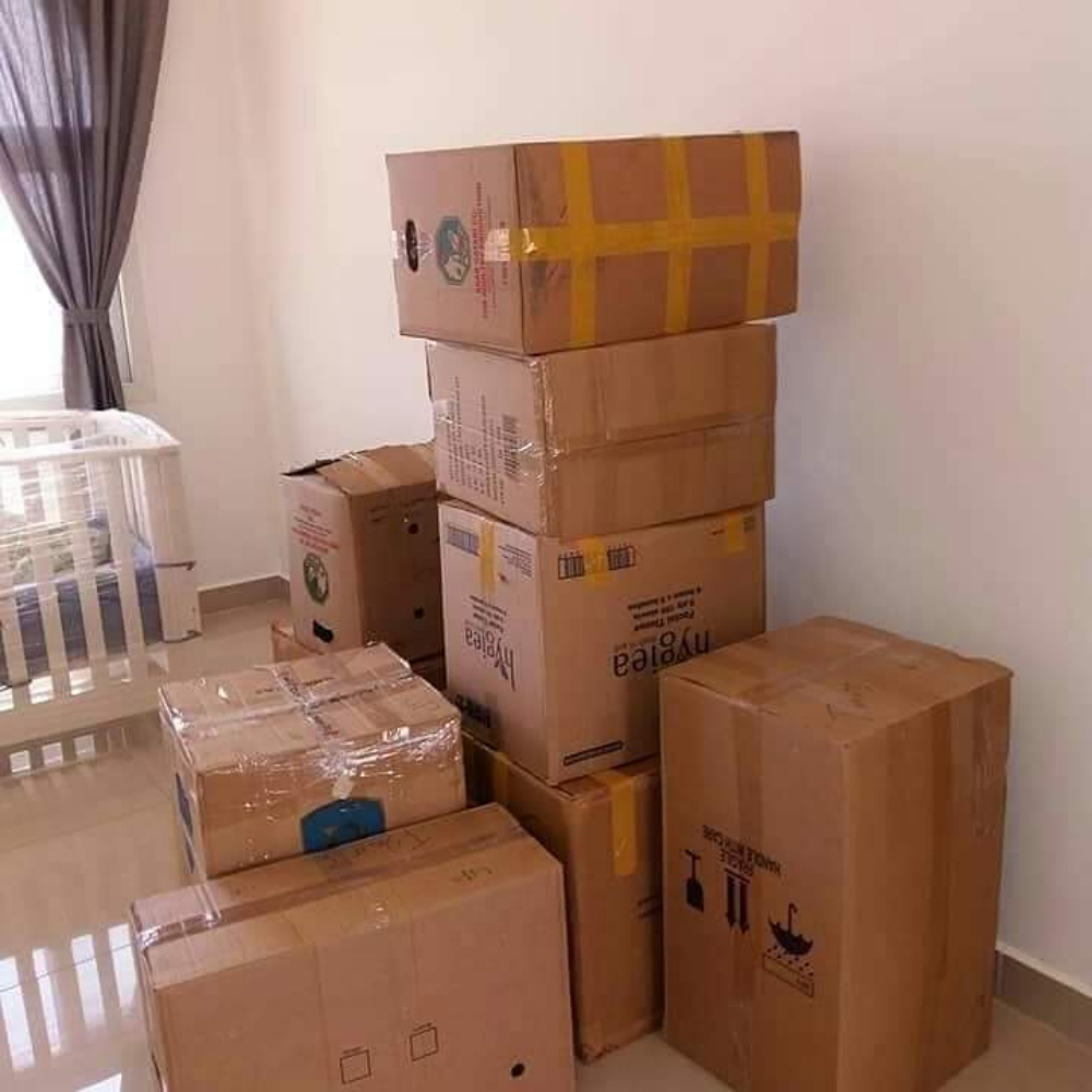 Professional Shifting /Moving. - 3
