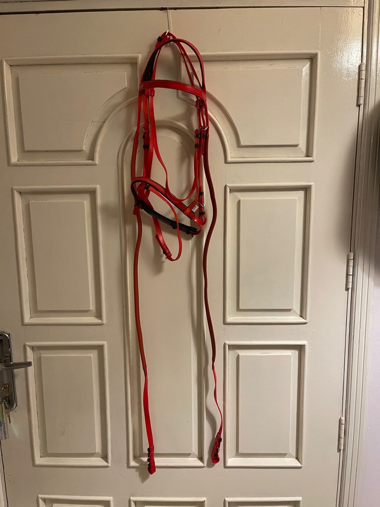 Bridle set with reins - 3