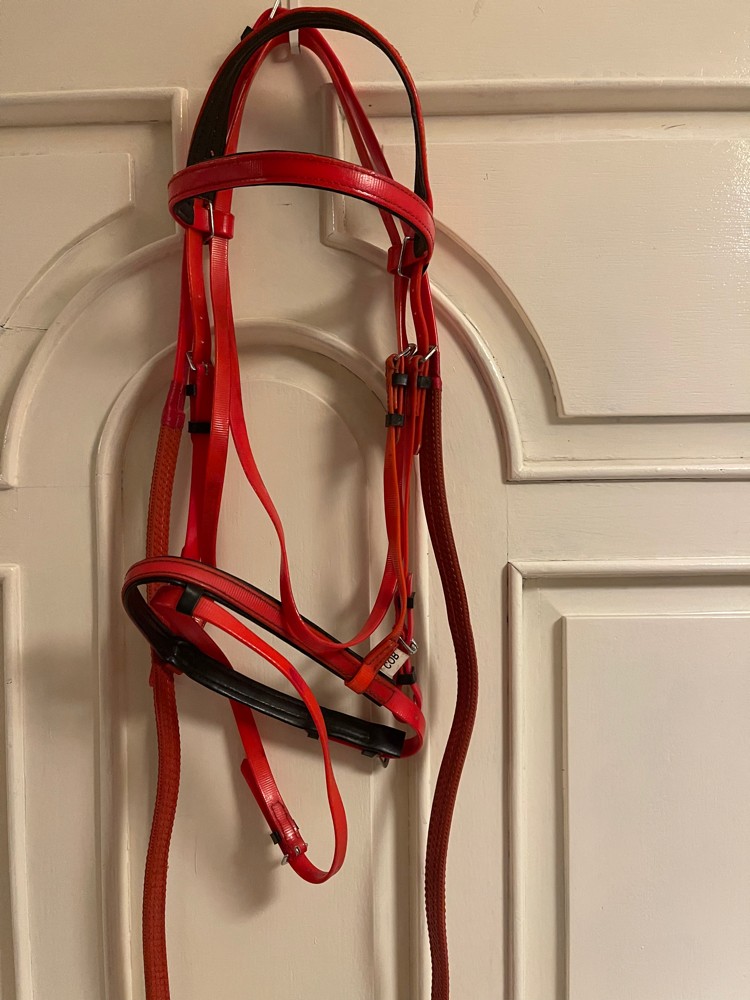 Bridle set with reins - 1