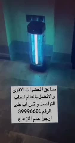 للبيع صائده الحشرات والذباب - 1