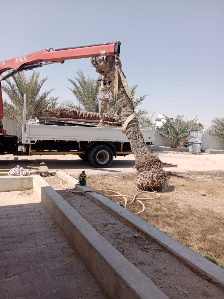 الحدائق - 2