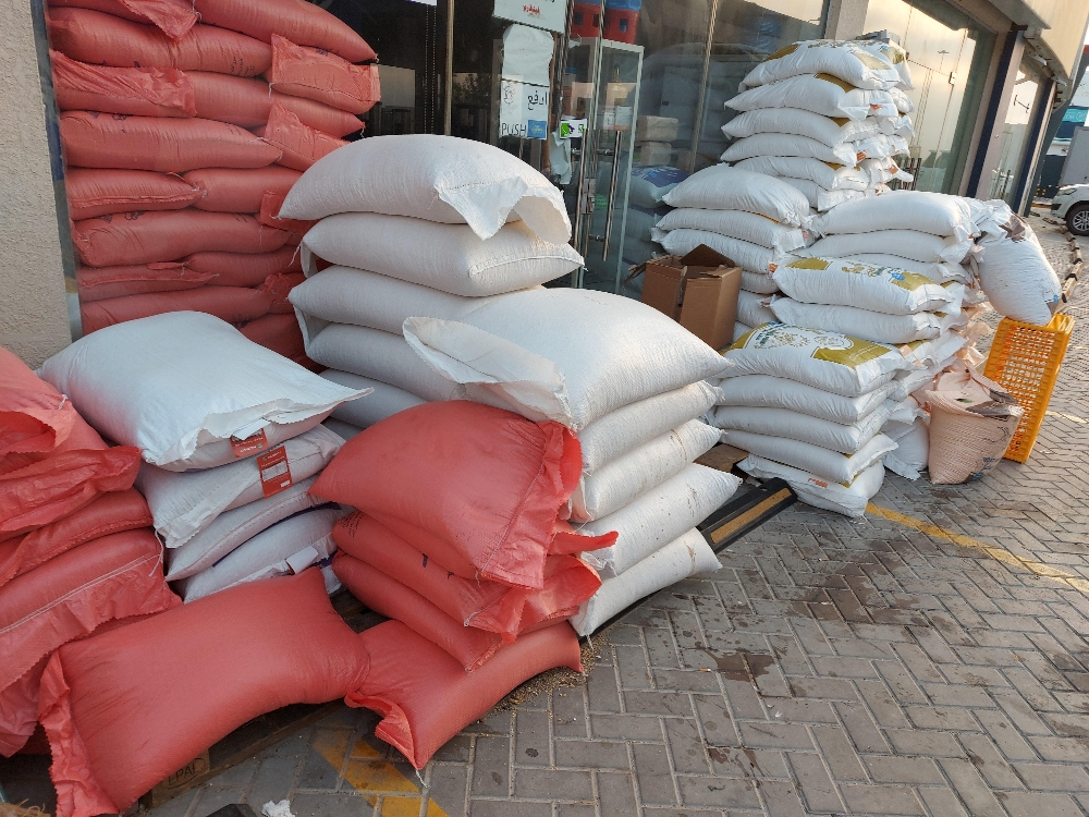 أغنام وخيل - 1