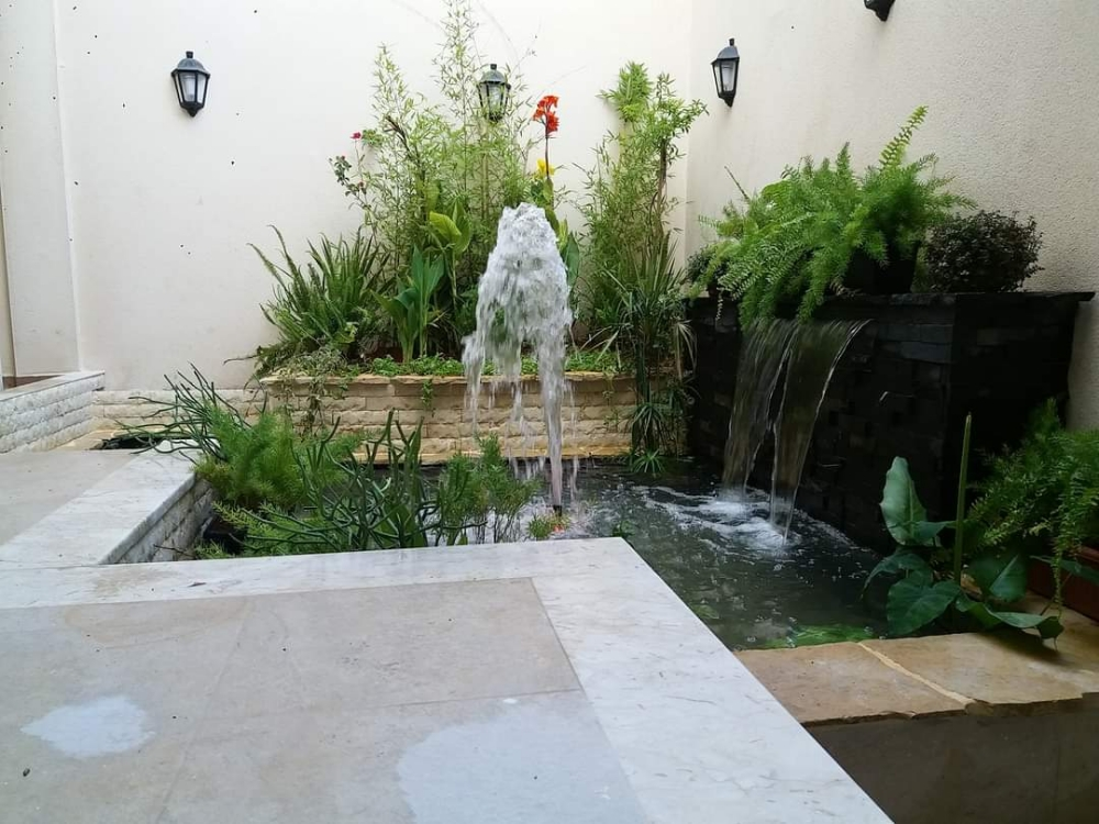 ‎‎‎‎‎‎‎زراعه - 7