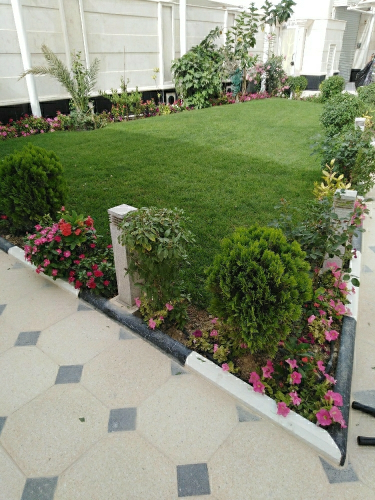 ‎‎‎‎‎‎‎زراعه - 6