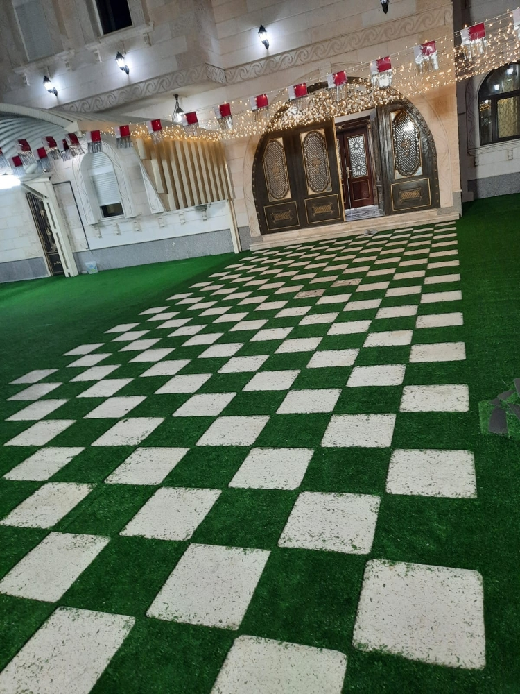 تصميم خارجي فاخر - 3