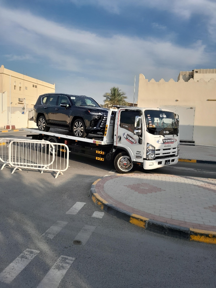 سطحه حاملة سيارات 60007743 - 3