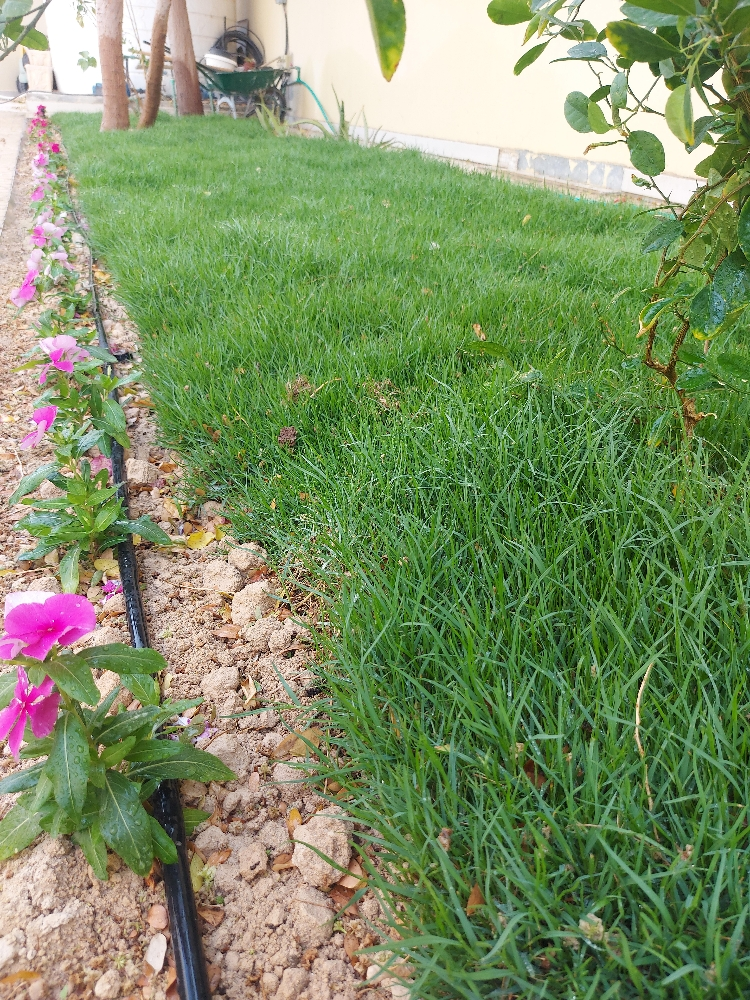 الزراعه والورود - 3