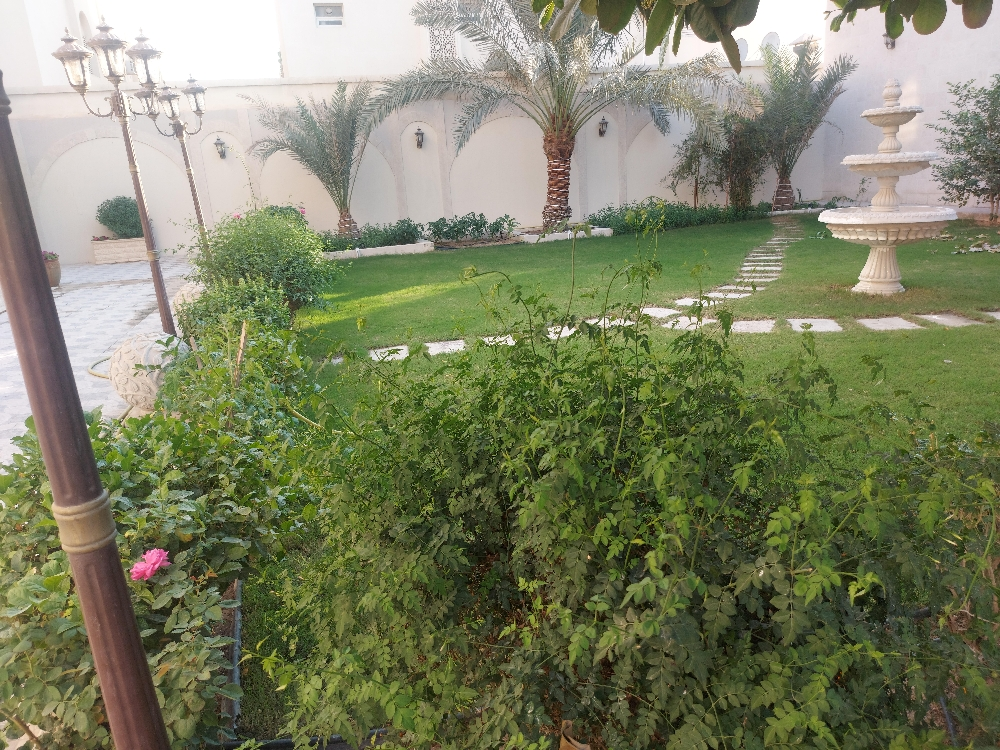 الزراعه والورود - 12