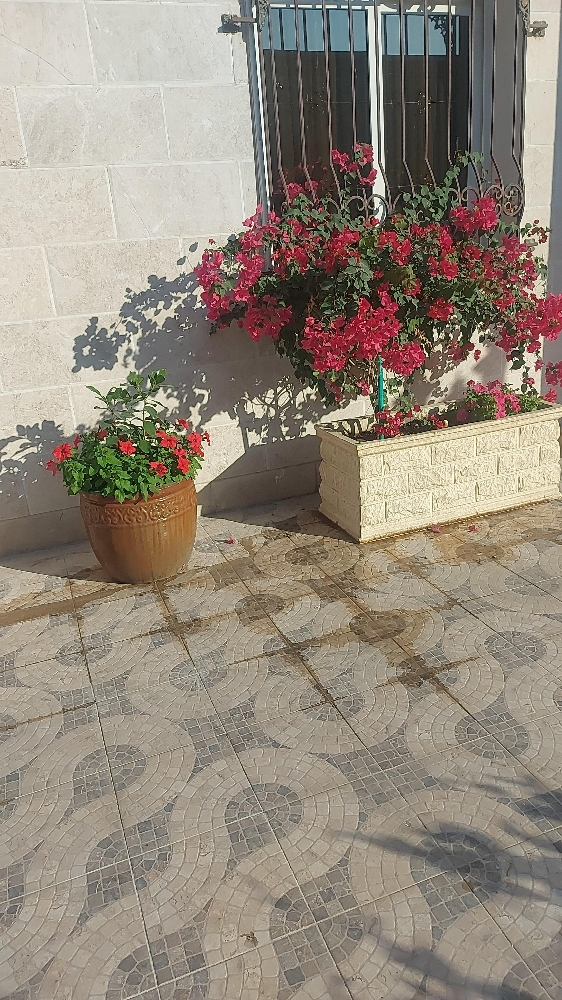 الزراعه والورود - 14
