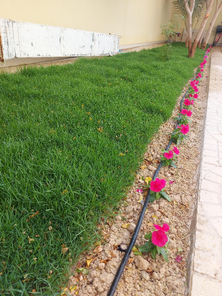 الزراعه والورود - 1