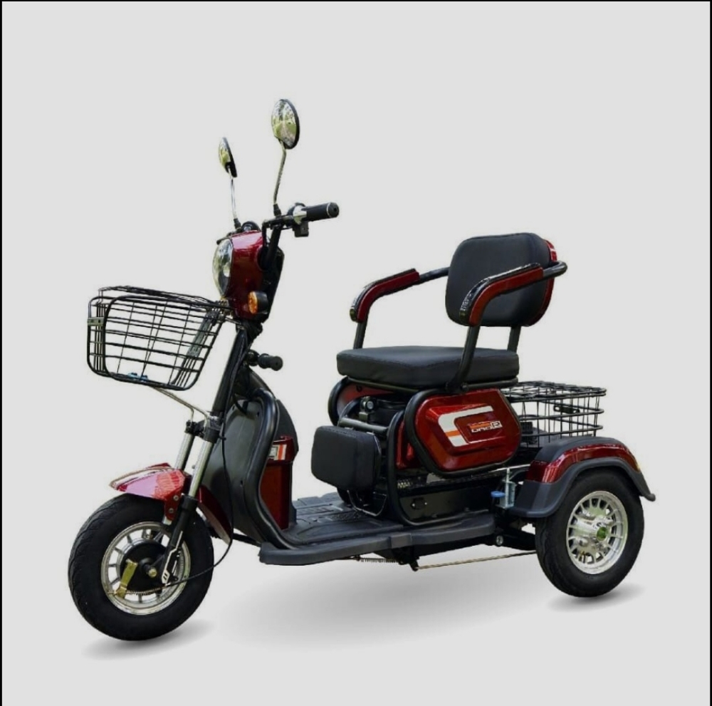 electric scooter - 3