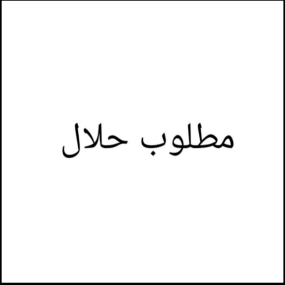 نشتري جميع الابل - 1