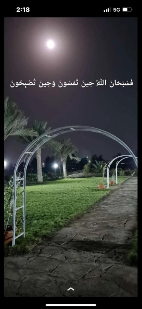 زراعه وديكور - 2