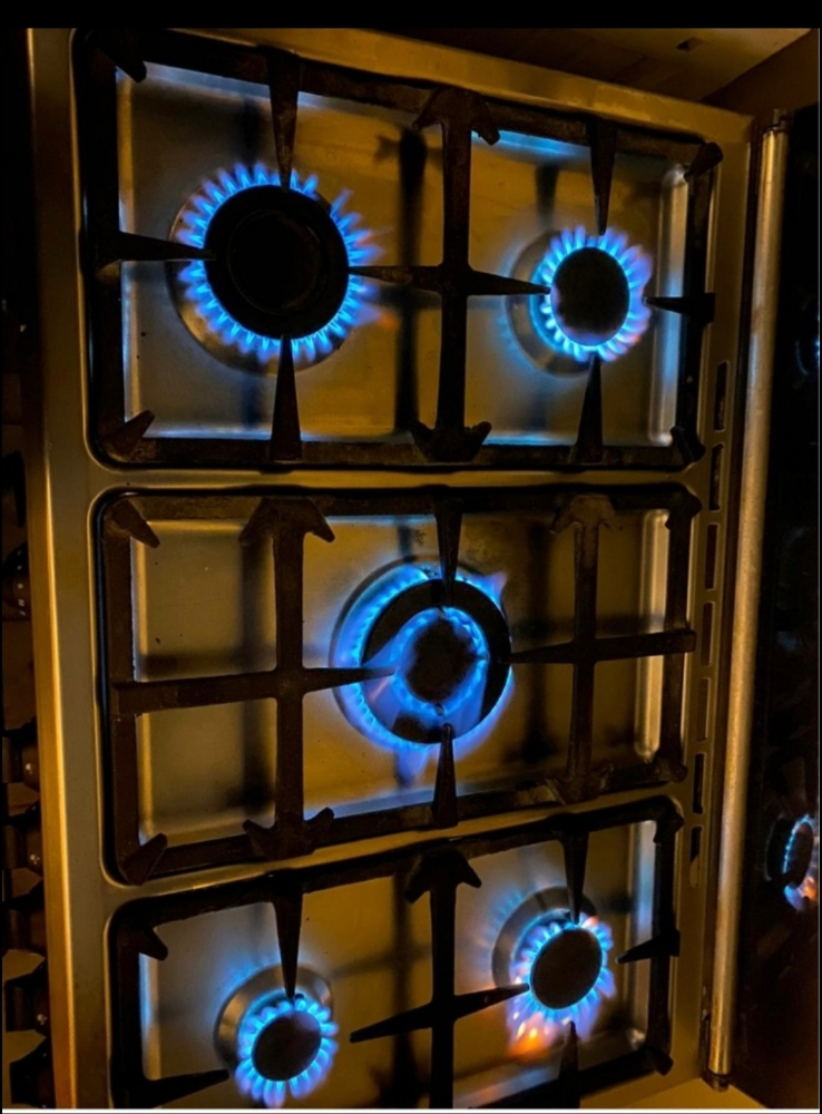 Gas stove repair,cleaning and ser - 9