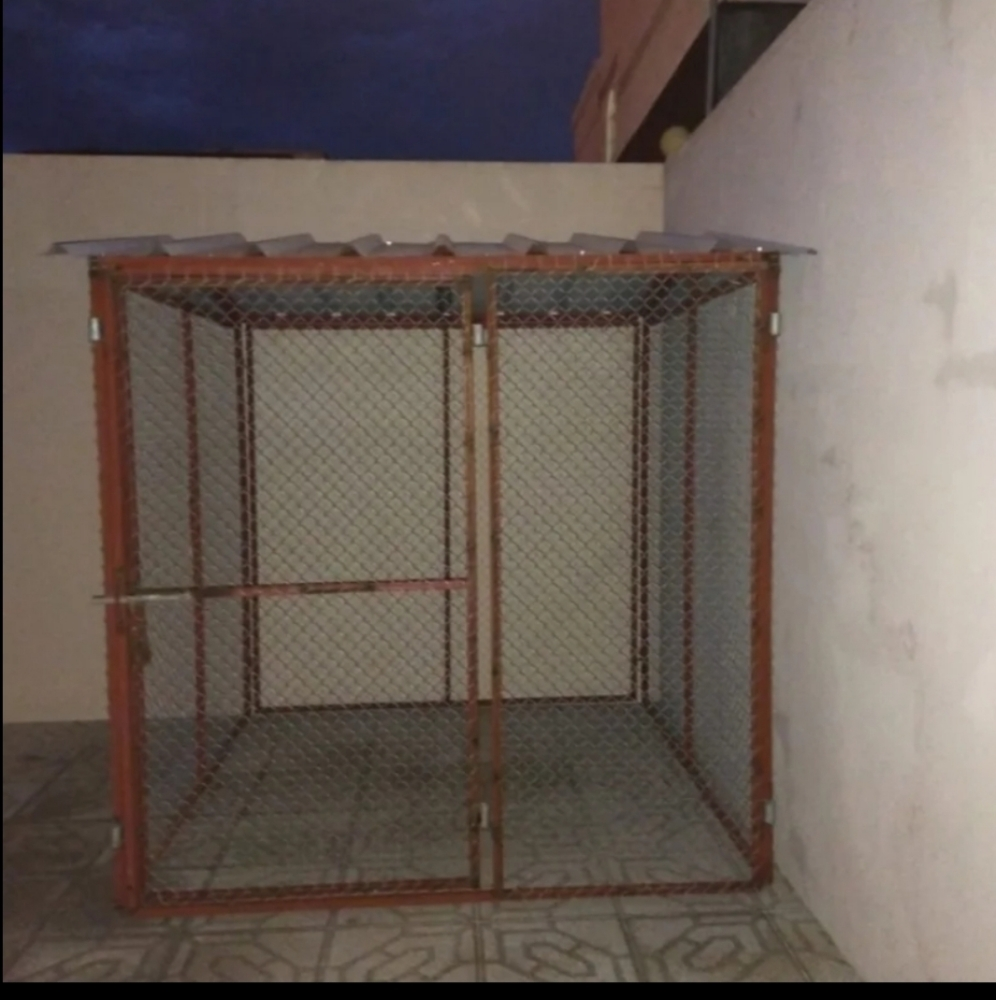 2/2 غوباس - 2