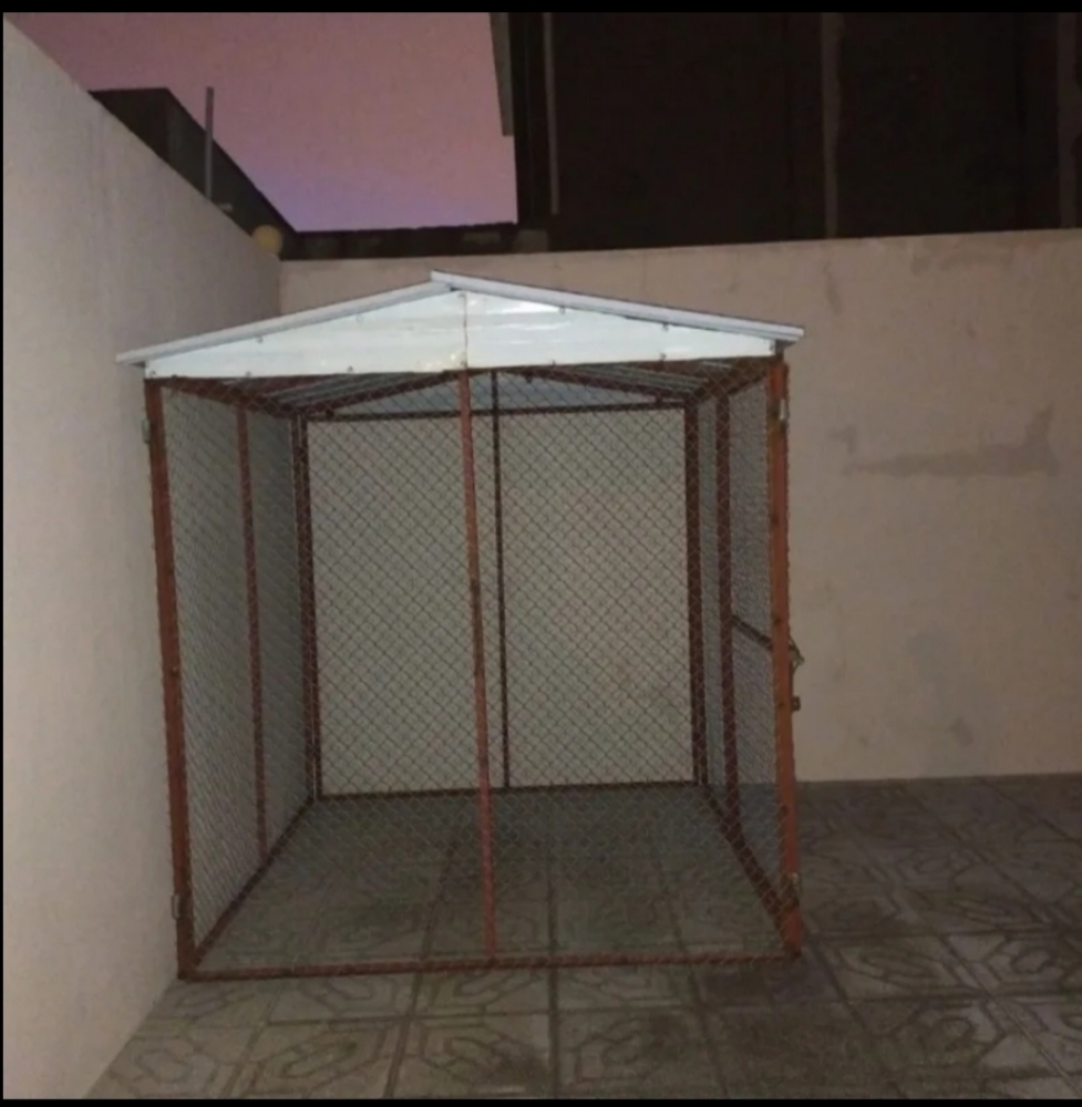 2/2 غوباس - 3