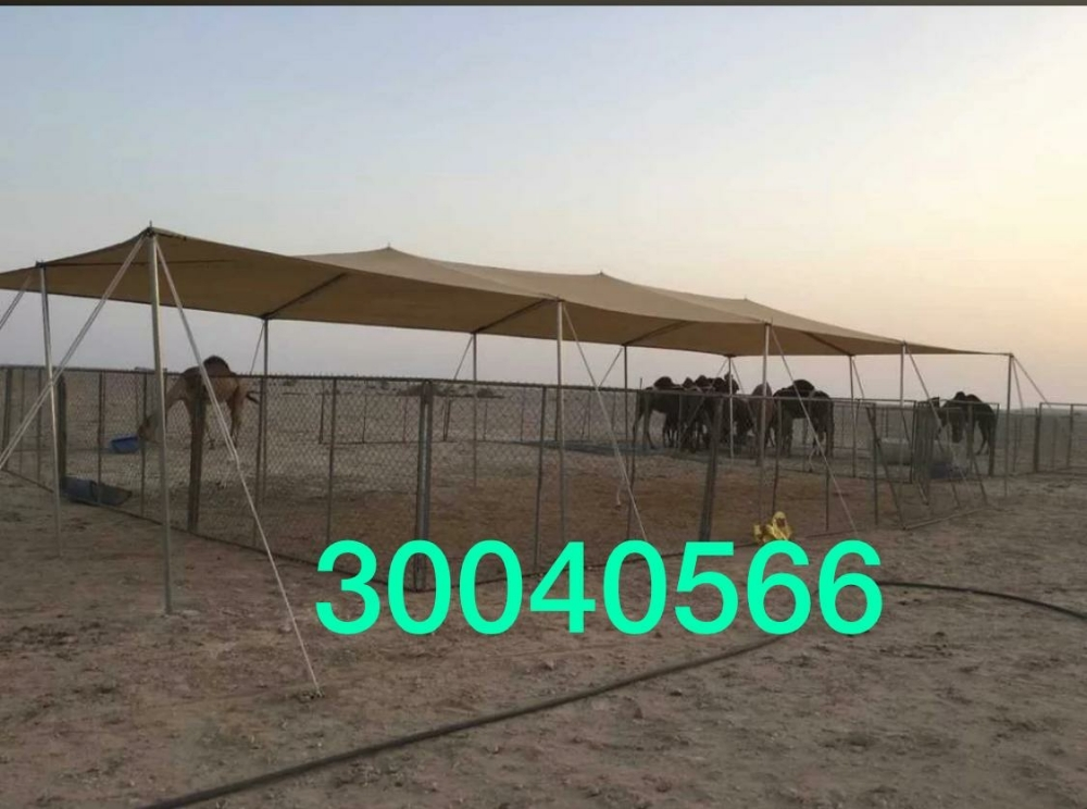 مظلات تور - 2