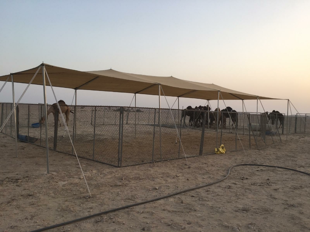 مظلات تور - 3