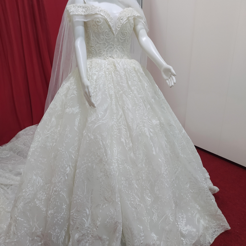 Luxury model wedding gown rent - 2