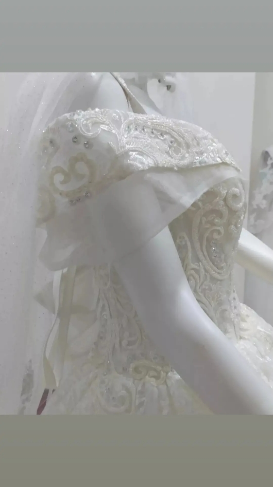Luxury model wedding gown rent - 3