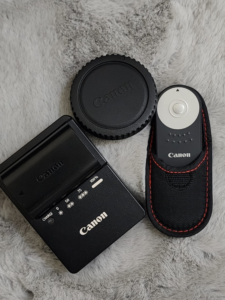canon 60d - 3