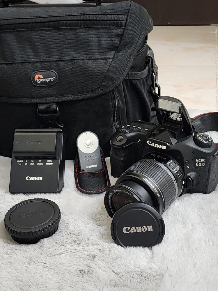 canon 60d - 1