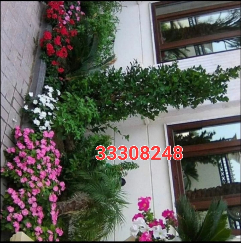 زهور - 2