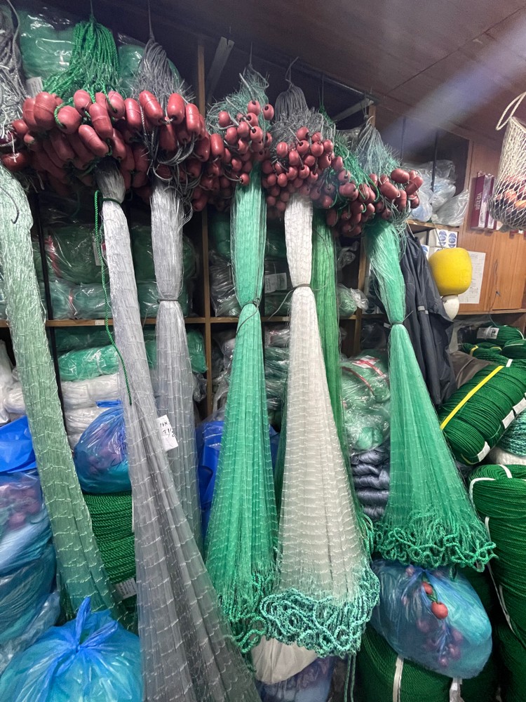 غزول نيسر  - 1