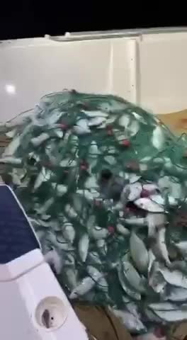 للبيع غزل مبروم جاهز طوله ٤٥٠ متر - 8