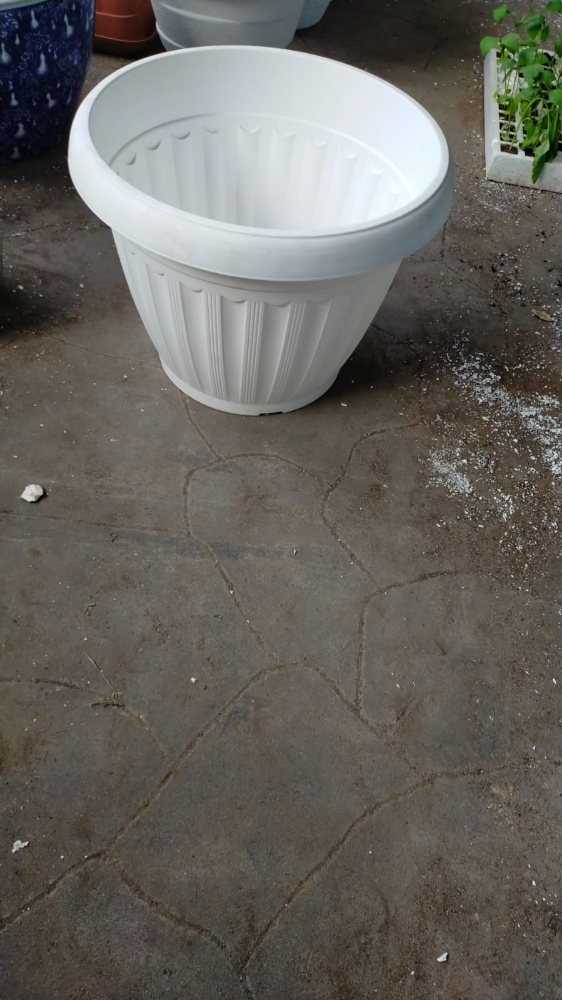 برنتلات - 1