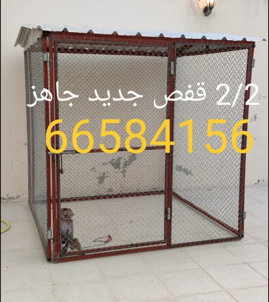 قفص حمامة قفص دجاج جاهز =3/3 - 6