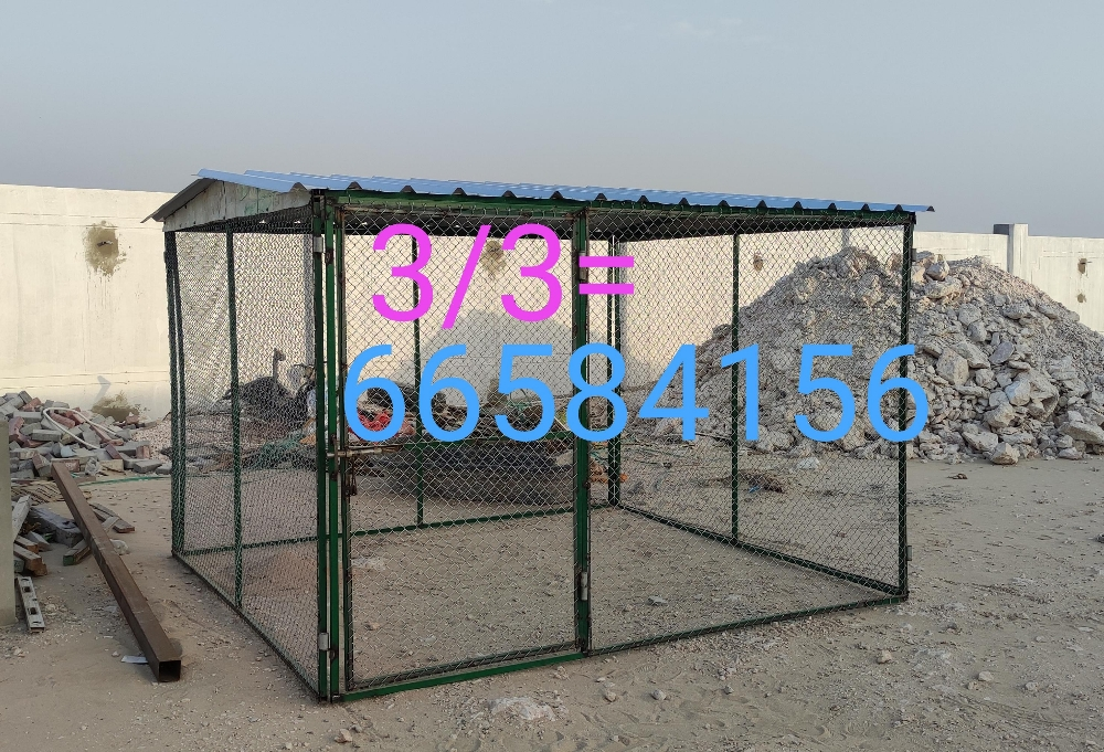 3/3قفص جديد - 5