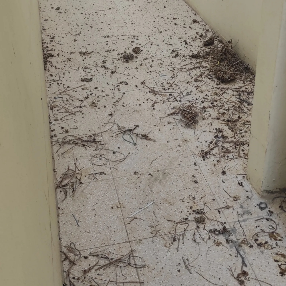 0bird repellent - 12