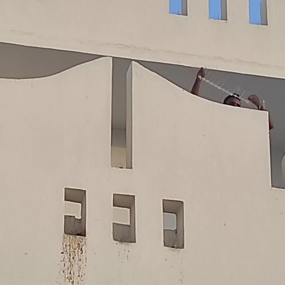 0bird repellent - 11