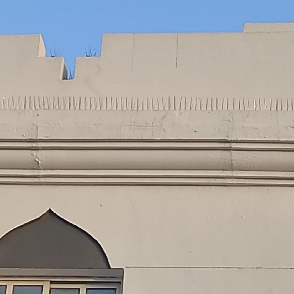 0bird repellent - 10