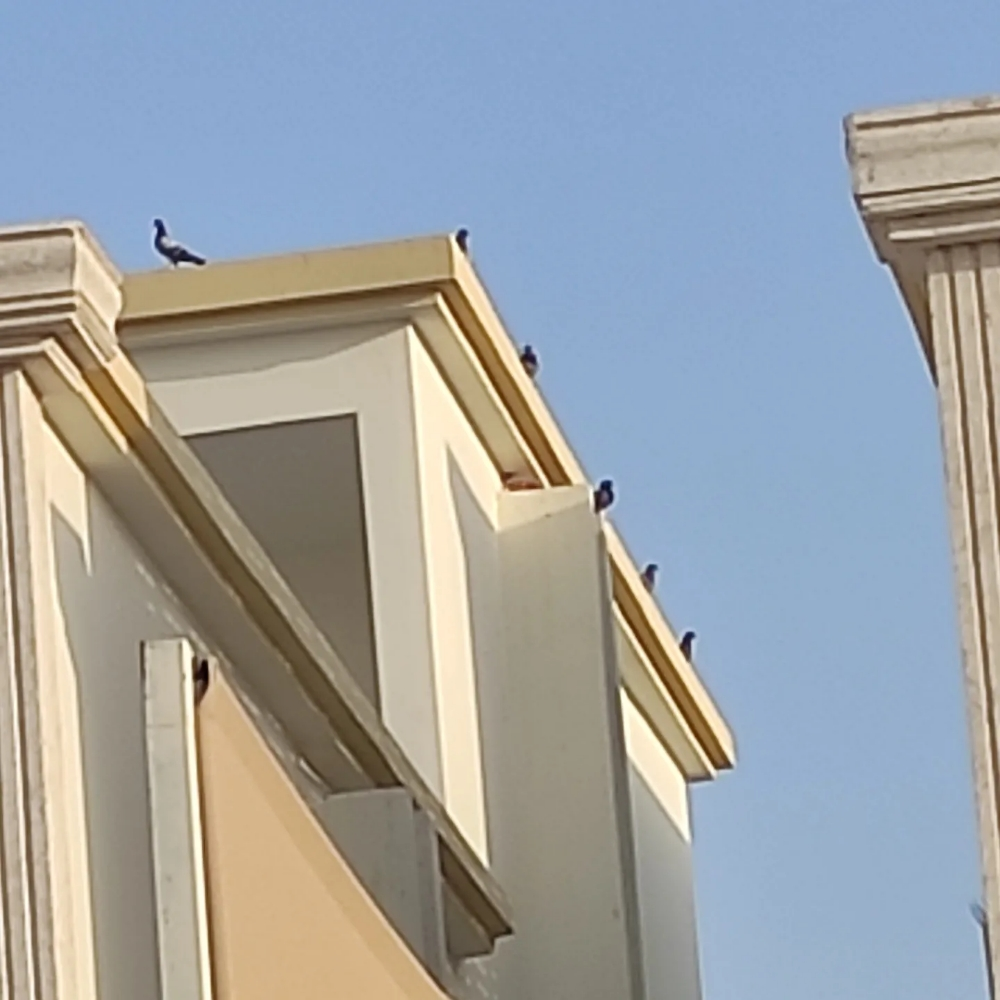 0bird repellent - 13