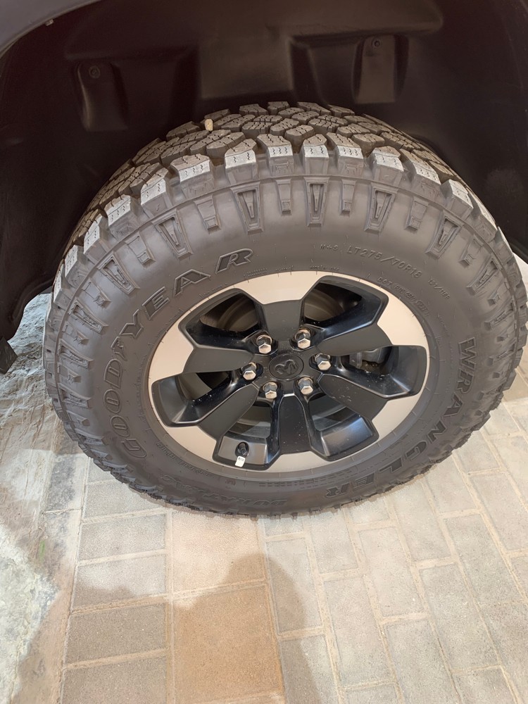 دوج رام ريبل  - 9