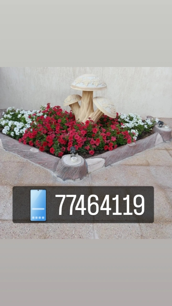 تنسيق الحدائق والعناية بالنخيل - 1