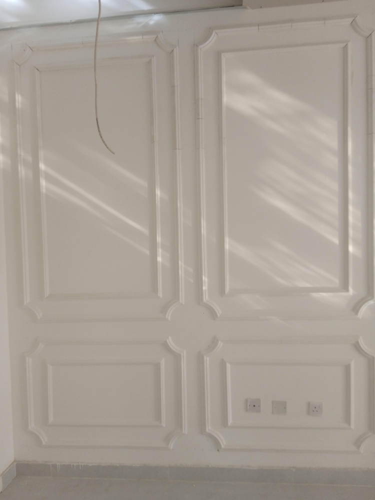 We do all finishing works. Paint - 7
