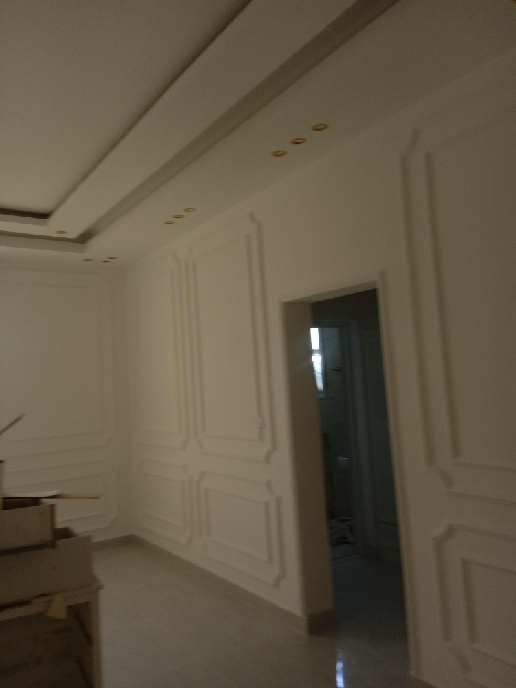 We do all finishing works. Paint - 4