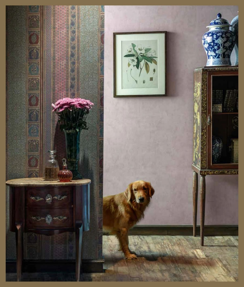 Best Wallpaper Decor Ideas - 3