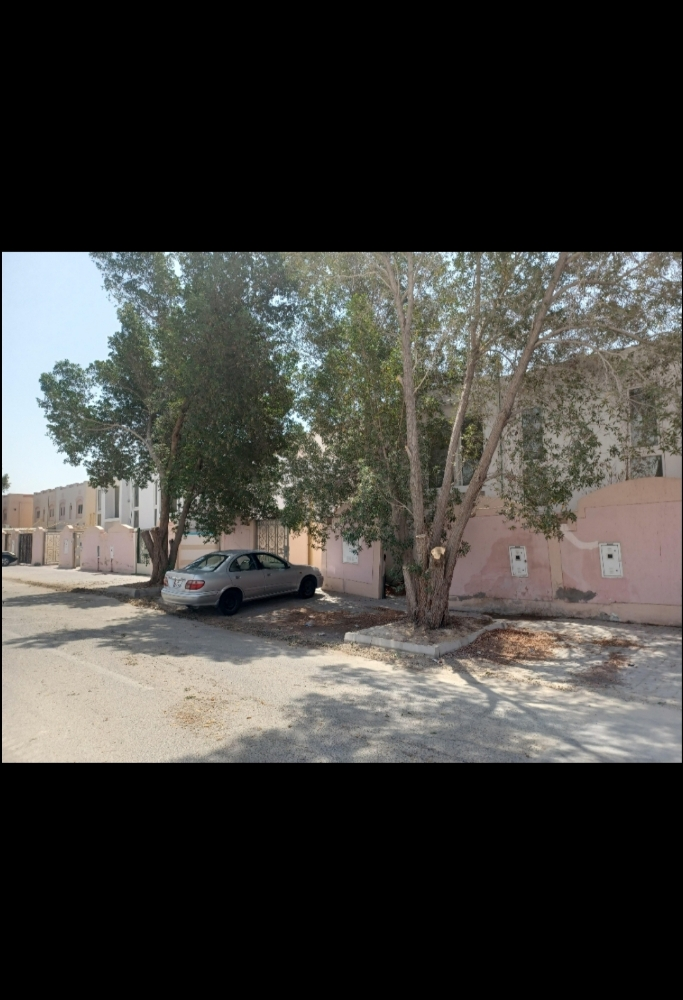 ‎‎‎‎‎‎‎تقطييع الاشجار وقصها - 2