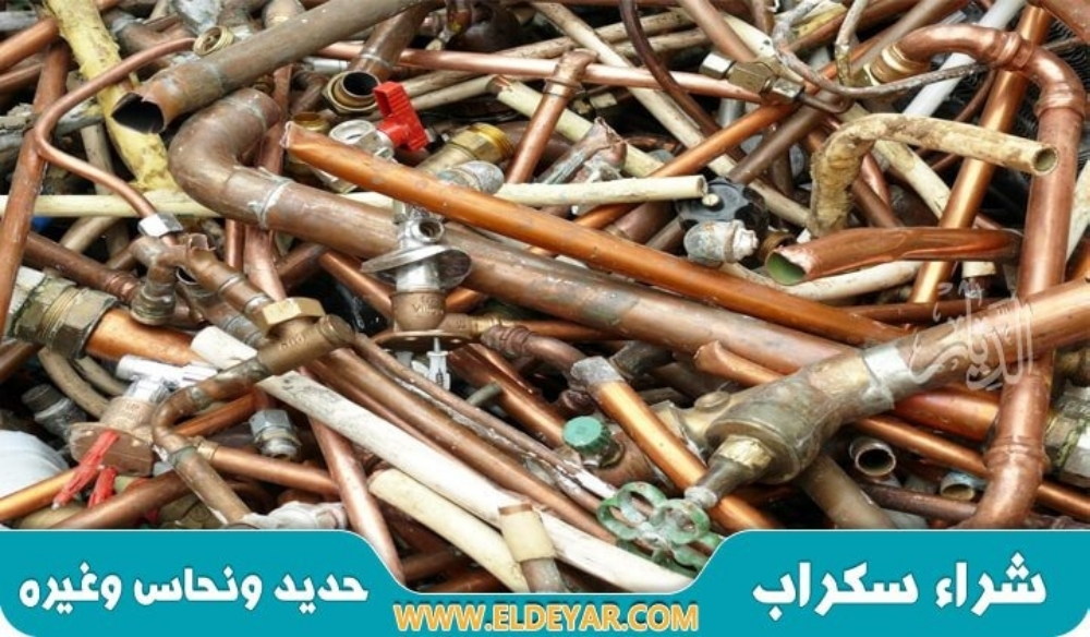 Alaa - 5