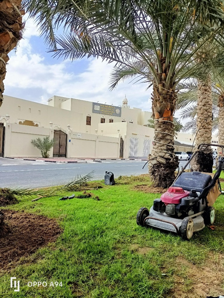منسق حدائق ومزارع - 10