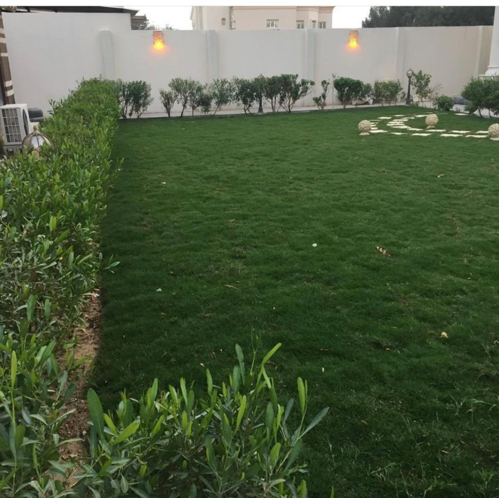منسق حدائق ومزارع - 15