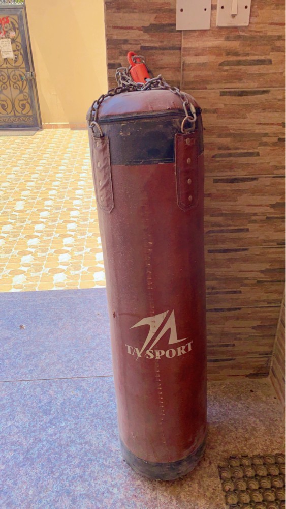 boxer for sale - 1