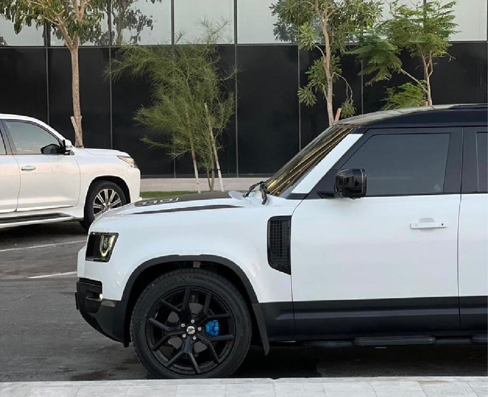 Land Rover defender 110 - 3